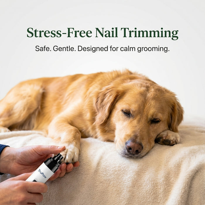 Safe, Stress-Free Nail Trims - Even for Anxious Dogs