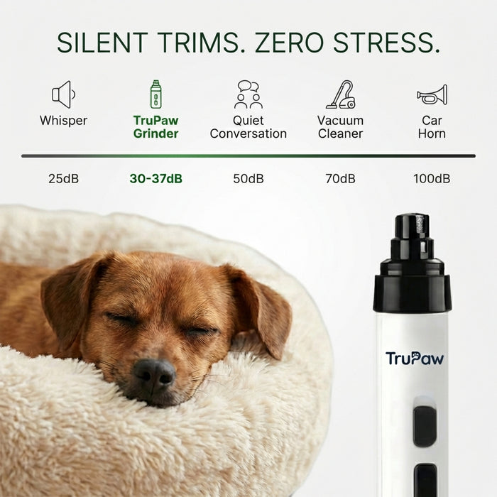 Safe, Stress-Free Nail Trims - Even for Anxious Dogs