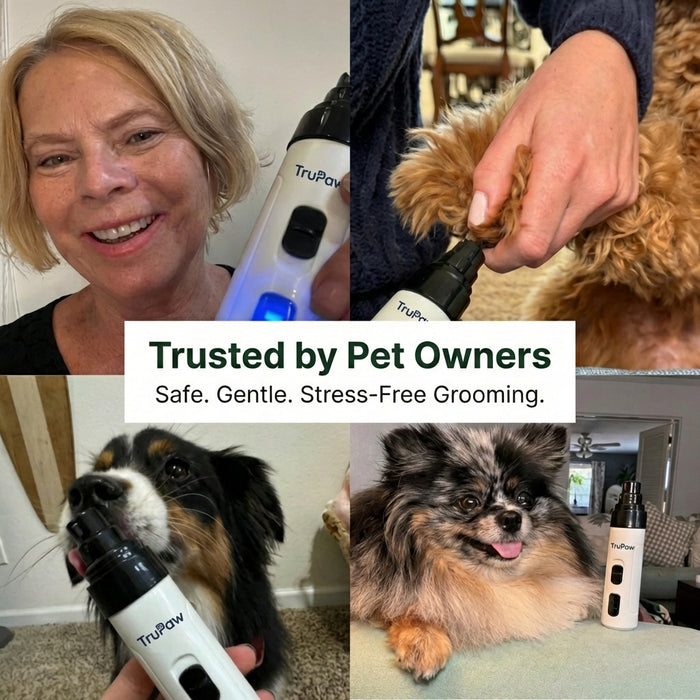 Safe, Stress-Free Nail Trims - Even for Anxious Dogs